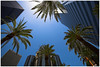 Derick > Downtown L.A.